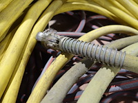 2x pallet diversen - afbeelding 8 van  9