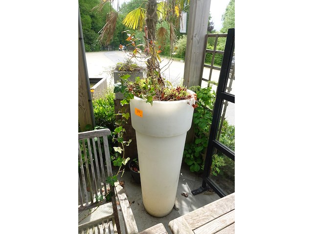 2x plant in kunstoffen vaas - afbeelding 1 van  4