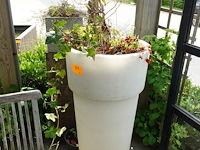2x plant in kunstoffen vaas - afbeelding 1 van  4