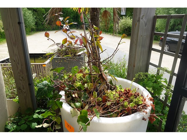 2x plant in kunstoffen vaas - afbeelding 2 van  4