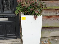 2x plant in kunstoffen vaas - afbeelding 2 van  7