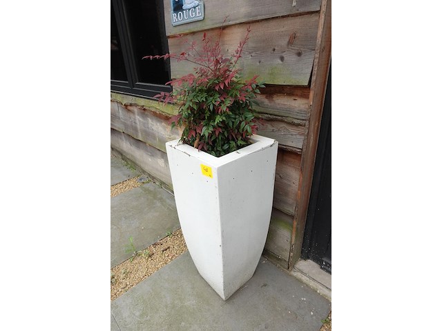 2x plant in kunstoffen vaas - afbeelding 4 van  7