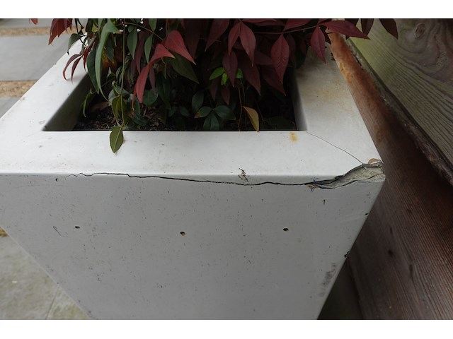 2x plant in kunstoffen vaas - afbeelding 6 van  7