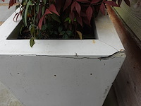2x plant in kunstoffen vaas - afbeelding 6 van  7