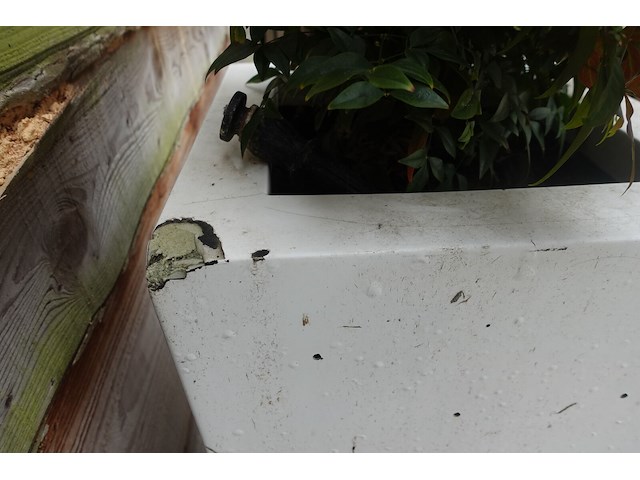 2x plant in kunstoffen vaas - afbeelding 7 van  7