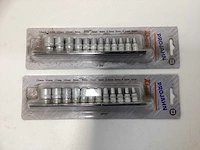 (2x) projahn 1/4” doppenset op rail