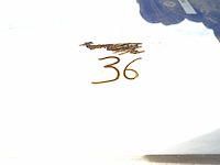 2x rvs grill diamond - afbeelding 4 van  9