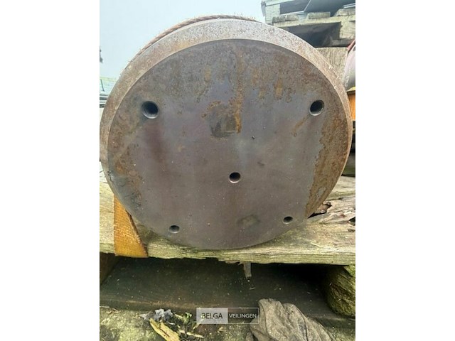 2x taatspinnen - afbeelding 2 van  4