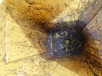 2x verrolbare afvalcontainer - afbeelding 6 van  6