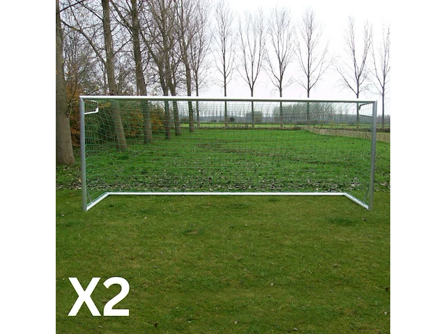 (2x) voetbaldoelen calzio champion 500, incl... - afbeelding 2 van  4