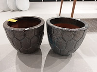 2x vorstvrije terracotta bloempot - afbeelding 2 van  4