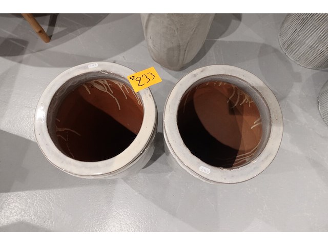 2x vorstvrije terracotta vaas - afbeelding 3 van  4