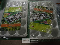 2x3st kamerbroeikastjes - afbeelding 1 van  3