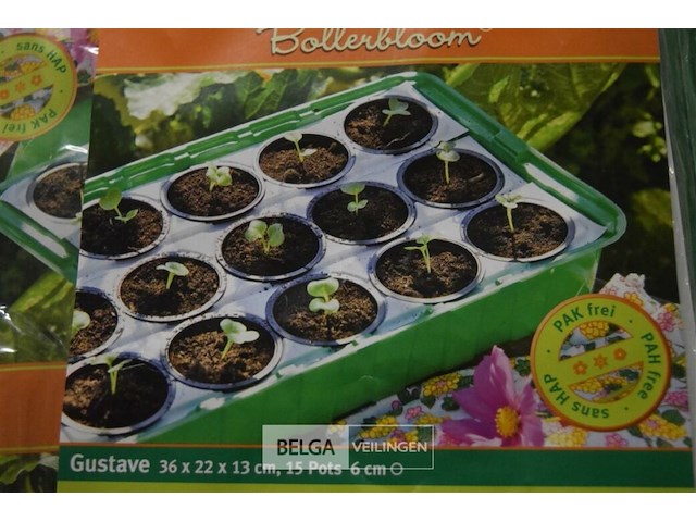 2x3st kamerbroeikastjes - afbeelding 2 van  3