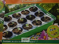 2x3st kamerbroeikastjes - afbeelding 2 van  3