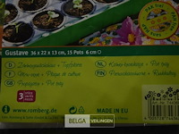 2x3st kamerbroeikastjes - afbeelding 3 van  3