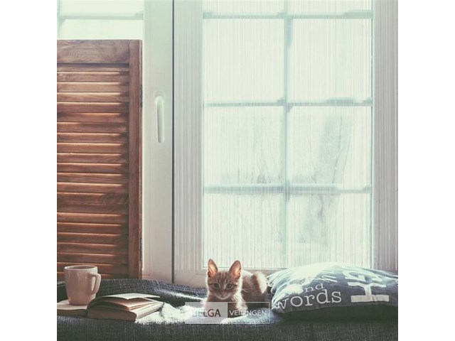 2xdraadgordijn - afbeelding 5 van  6