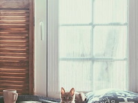 2xdraadgordijn - afbeelding 5 van  6