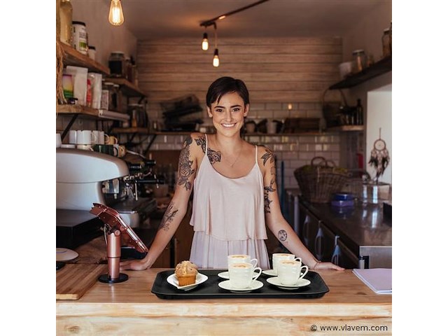 2xhoreca serveer plateau - afbeelding 2 van  6