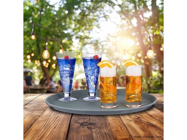 2xhoreca serveer plateau - afbeelding 4 van  4