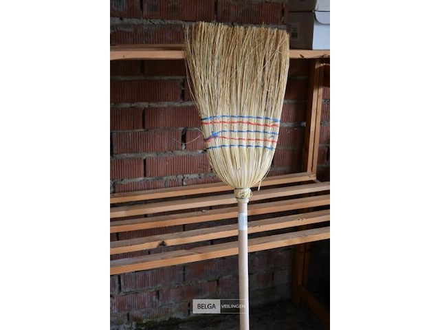 3 bezems - afbeelding 2 van  2