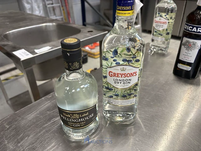 3 diverse flessen gin - afbeelding 1 van  7