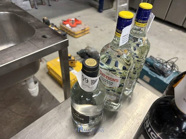 3 diverse flessen gin - afbeelding 7 van  7