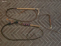 3 diverse zwepen