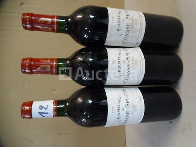 3 flessen haut-médoc l'ermitage de chasse-spleen 1996 - afbeelding 1 van  4
