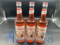 3 flessen siroop monin perzik