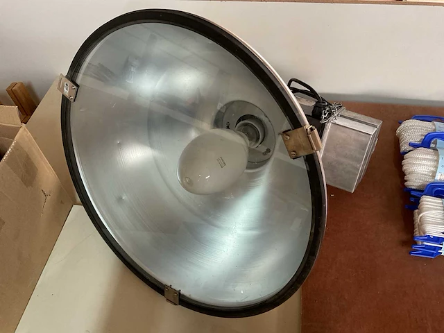 3 halogeen lampen - afbeelding 3 van  4