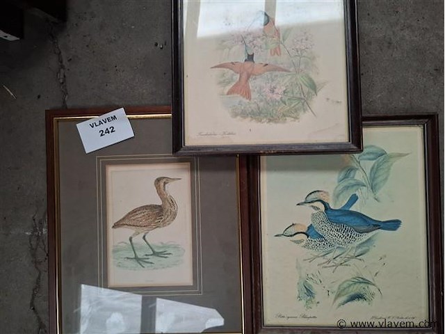 3 kaders - afbeelding 1 van  3