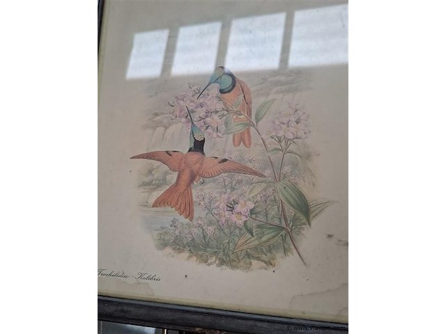 3 kaders - afbeelding 2 van  3