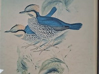 3 kaders - afbeelding 3 van  3