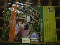 3 kamerbroeikastjes - afbeelding 2 van  2