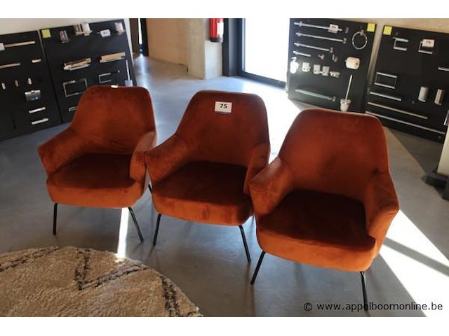 3 kuipzetels - afbeelding 1 van  1