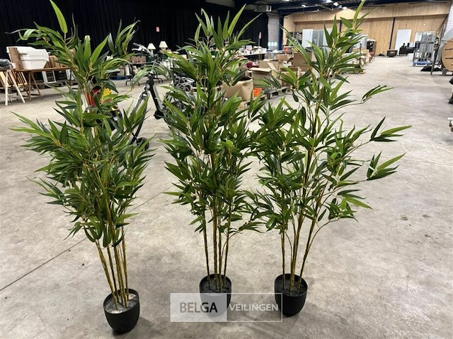 3 kunstplanten - afbeelding 1 van  3