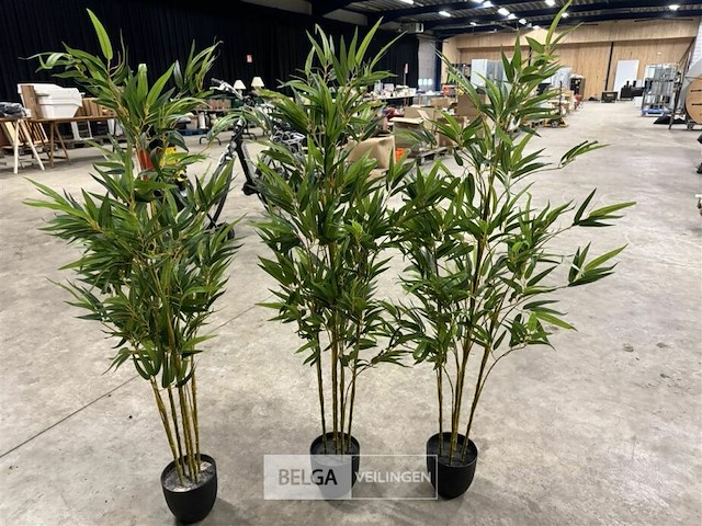 3 kunstplanten - afbeelding 2 van  3