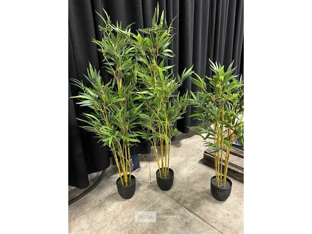 3 kunstplanten - afbeelding 4 van  4