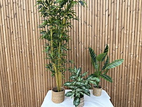 3 kunstplanten - afbeelding 1 van  3