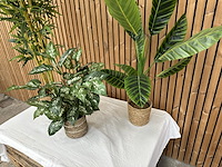 3 kunstplanten - afbeelding 2 van  3