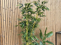 3 kunstplanten - afbeelding 3 van  3