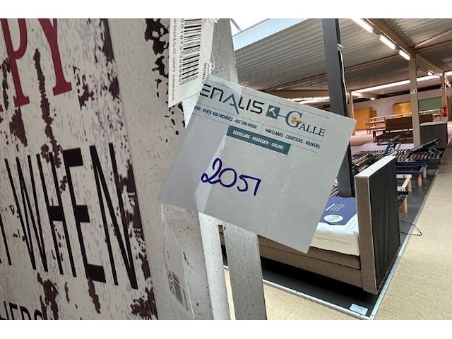 3 nepplanten - afbeelding 2 van  4