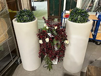 3 nepplanten - afbeelding 1 van  7