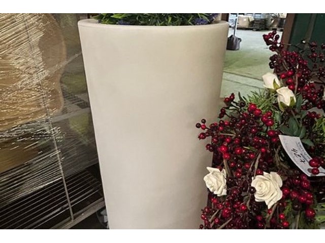 3 nepplanten - afbeelding 2 van  7