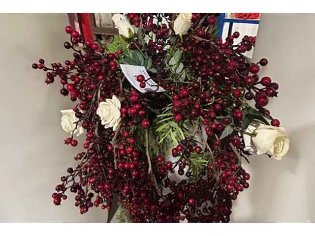 3 nepplanten - afbeelding 3 van  7