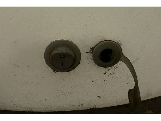 3 nepplanten - afbeelding 5 van  7