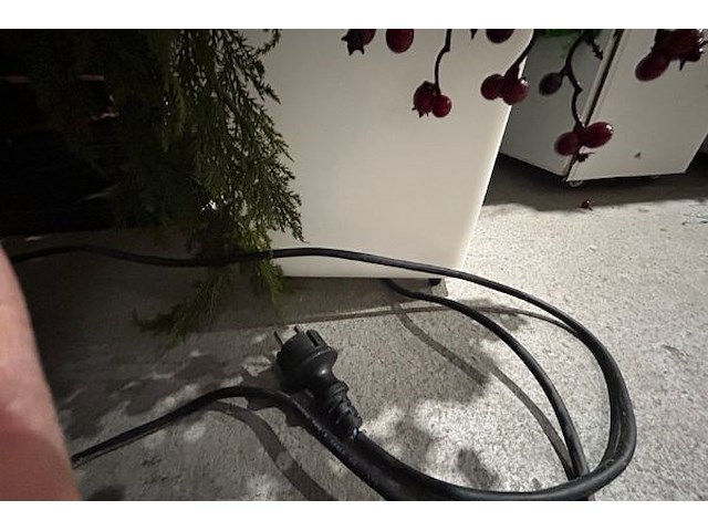 3 nepplanten - afbeelding 7 van  7