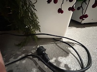 3 nepplanten - afbeelding 7 van  7