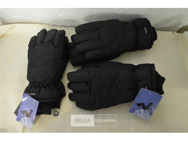 3 paar skihandschoenen mannen - afbeelding 1 van  3
